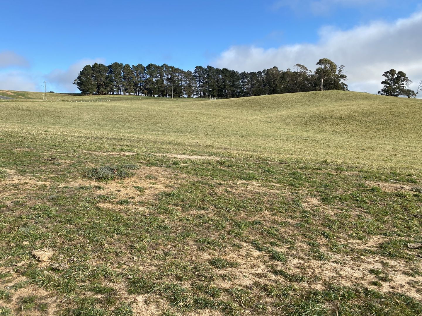 Lot 12 Kings Creek Rural Residential Land release, Oberon NSW 2787, Image 2