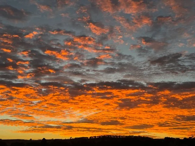 Additional image 13 of 135 Tarrengower School Road, Tarrengower VIC 3463