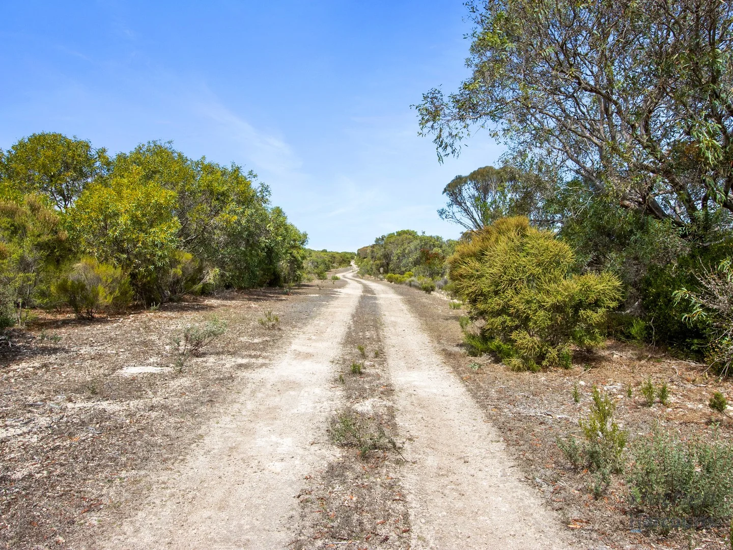 Sect. 230 Levens Road, Warooka SA 5577