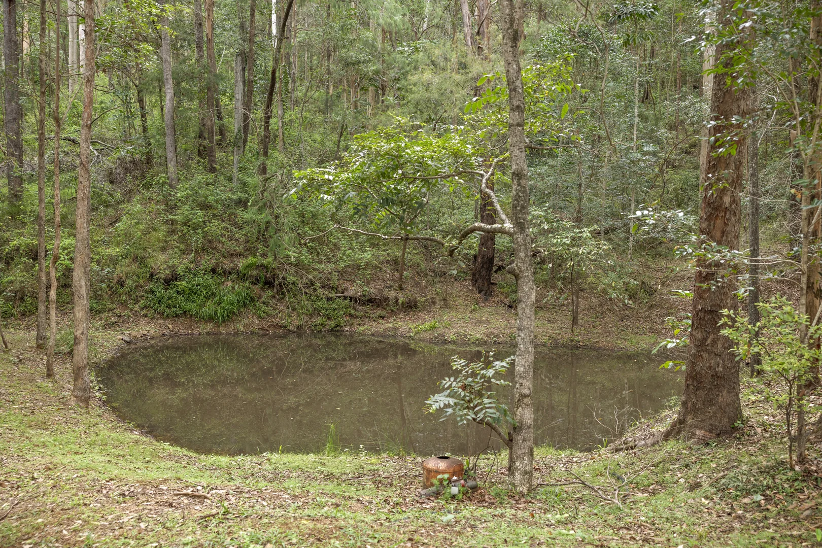 Additional image 36 of 14 King Parrot Court, Clagiraba QLD 4211