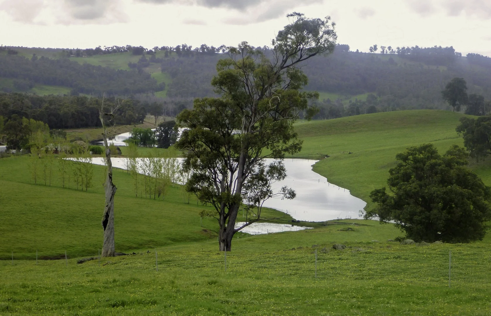 Additional image 21 of 89 Hearle Road, Mumballup WA 6225