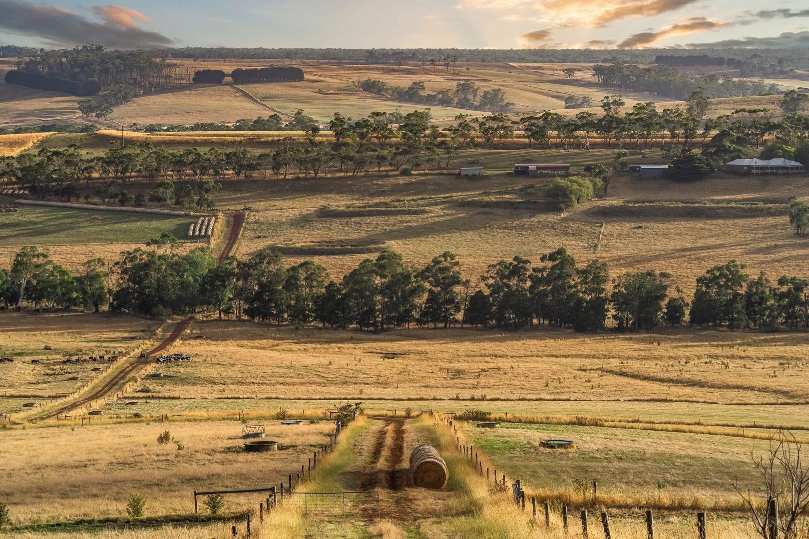 Additional image 27 of 100 Sunday Ridge Road, Simpson VIC 3266