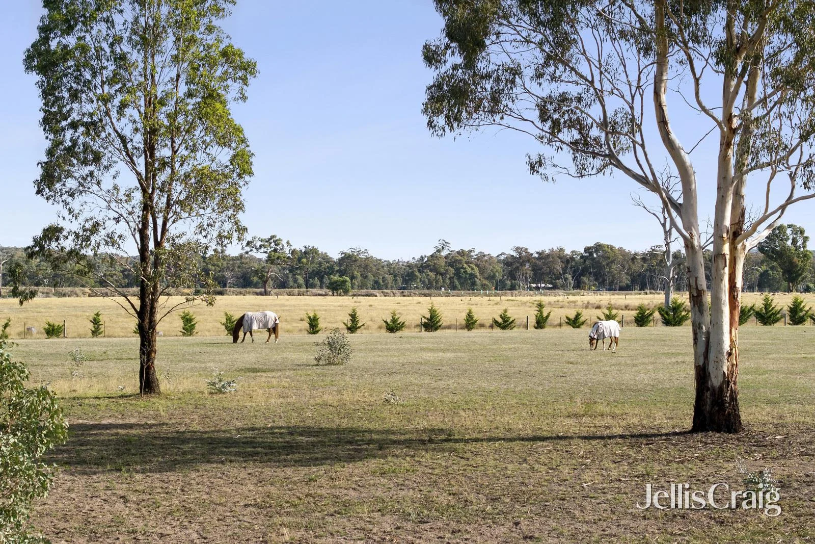 Additional image 8 of 297 Potts Road, Elphinstone VIC 3448