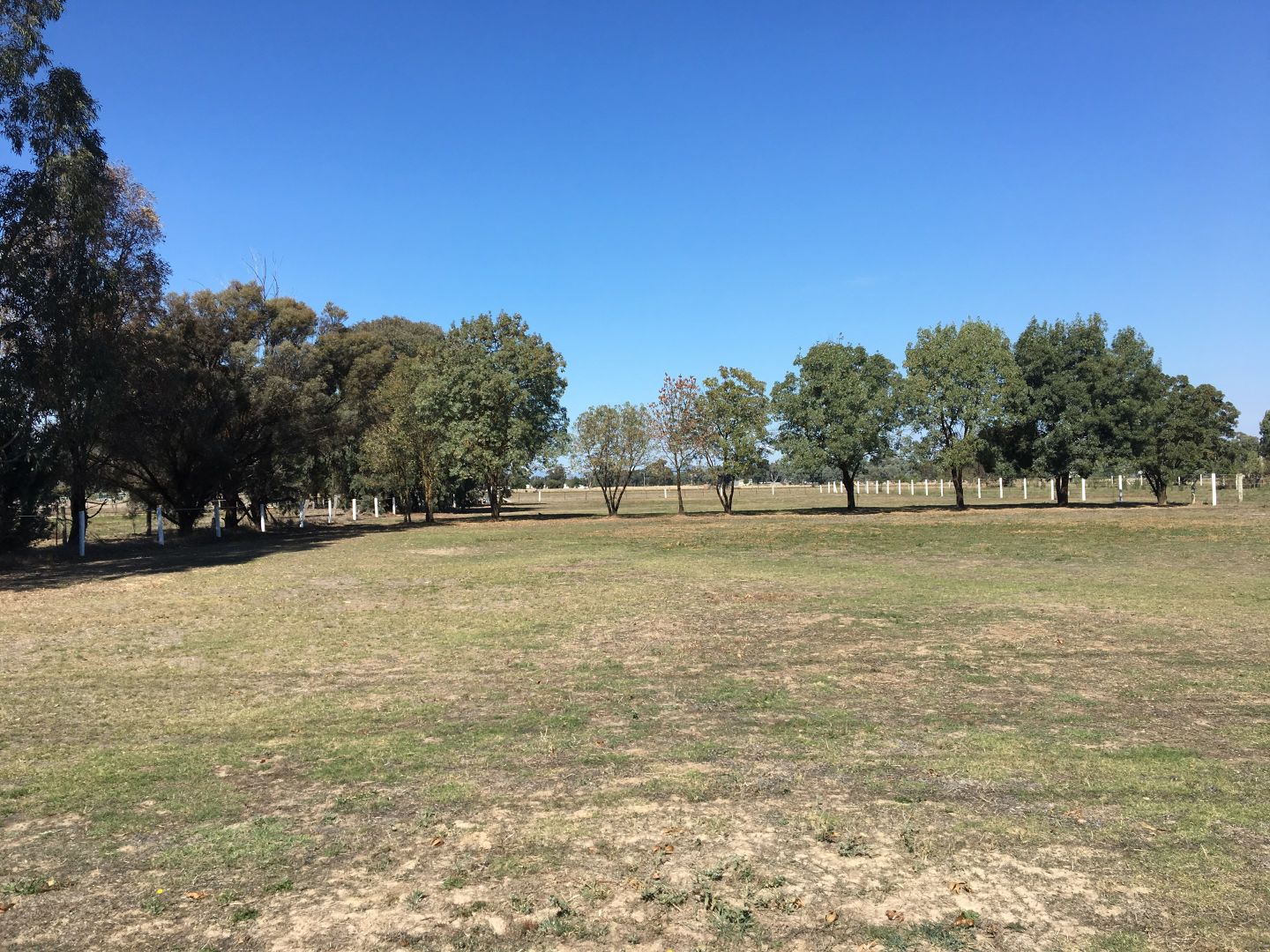 Lot 3 - 144 Racecourse Road, Benalla VIC 3672, Image 2