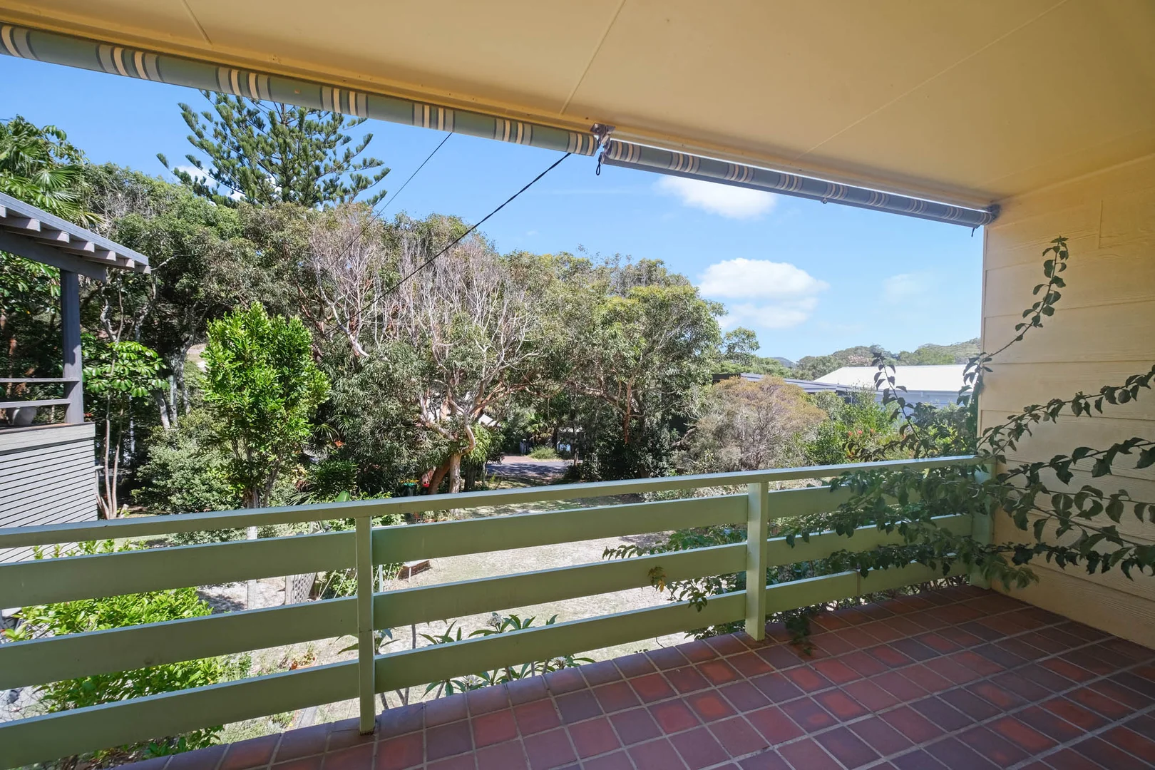 Image 8