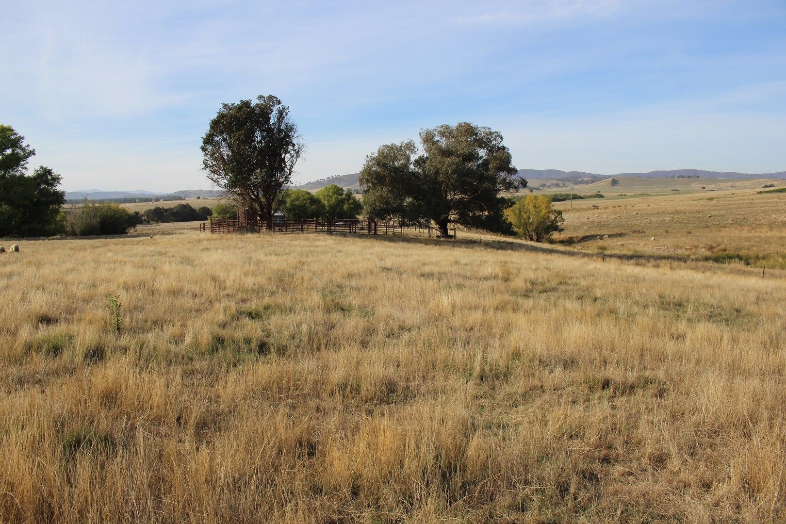 3486 Jingellic Road, Mannus NSW 2653, Image 0