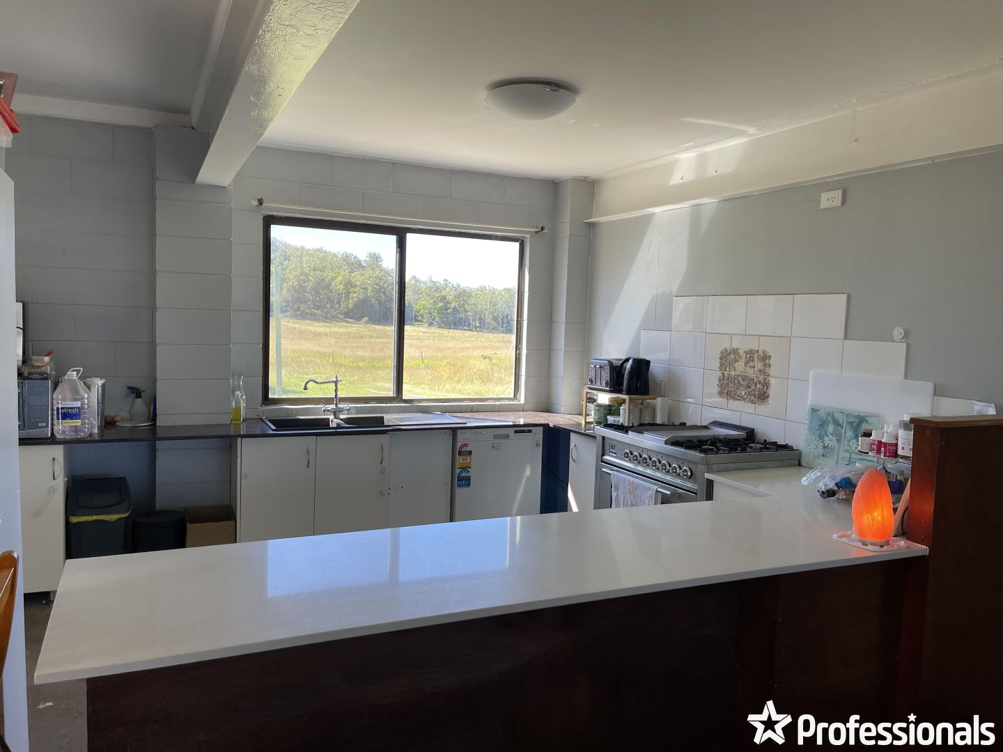 24904 Peak Downs Highway, Victoria Plains QLD 4751, Image 2