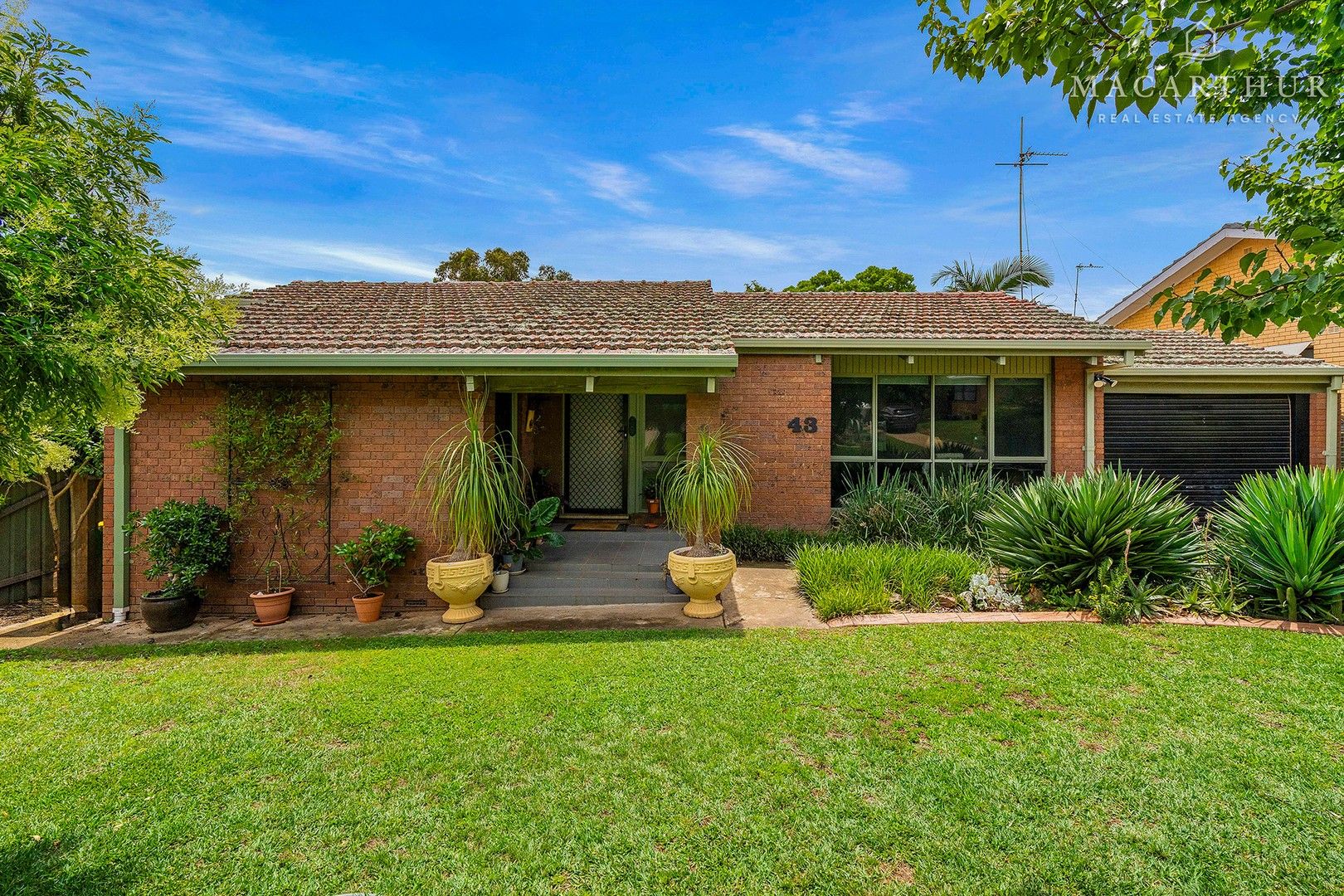 43 Alexander Street, Ashmont NSW 2650, Image 0