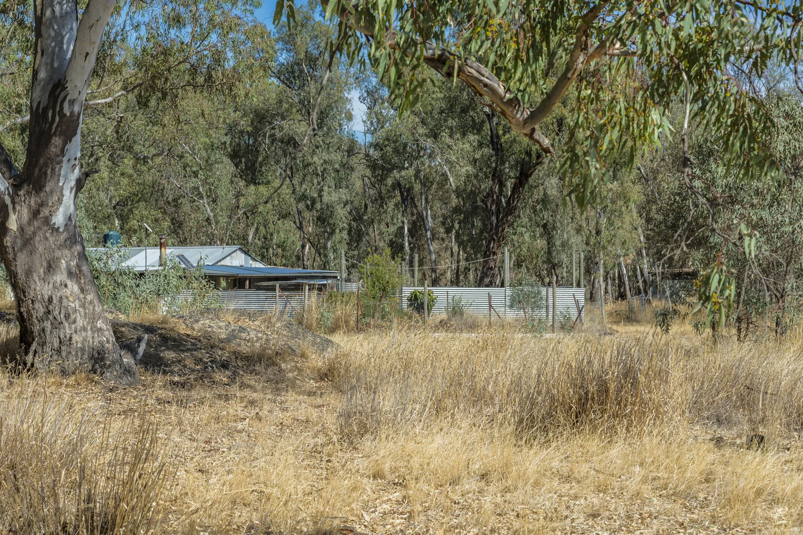 Image 6