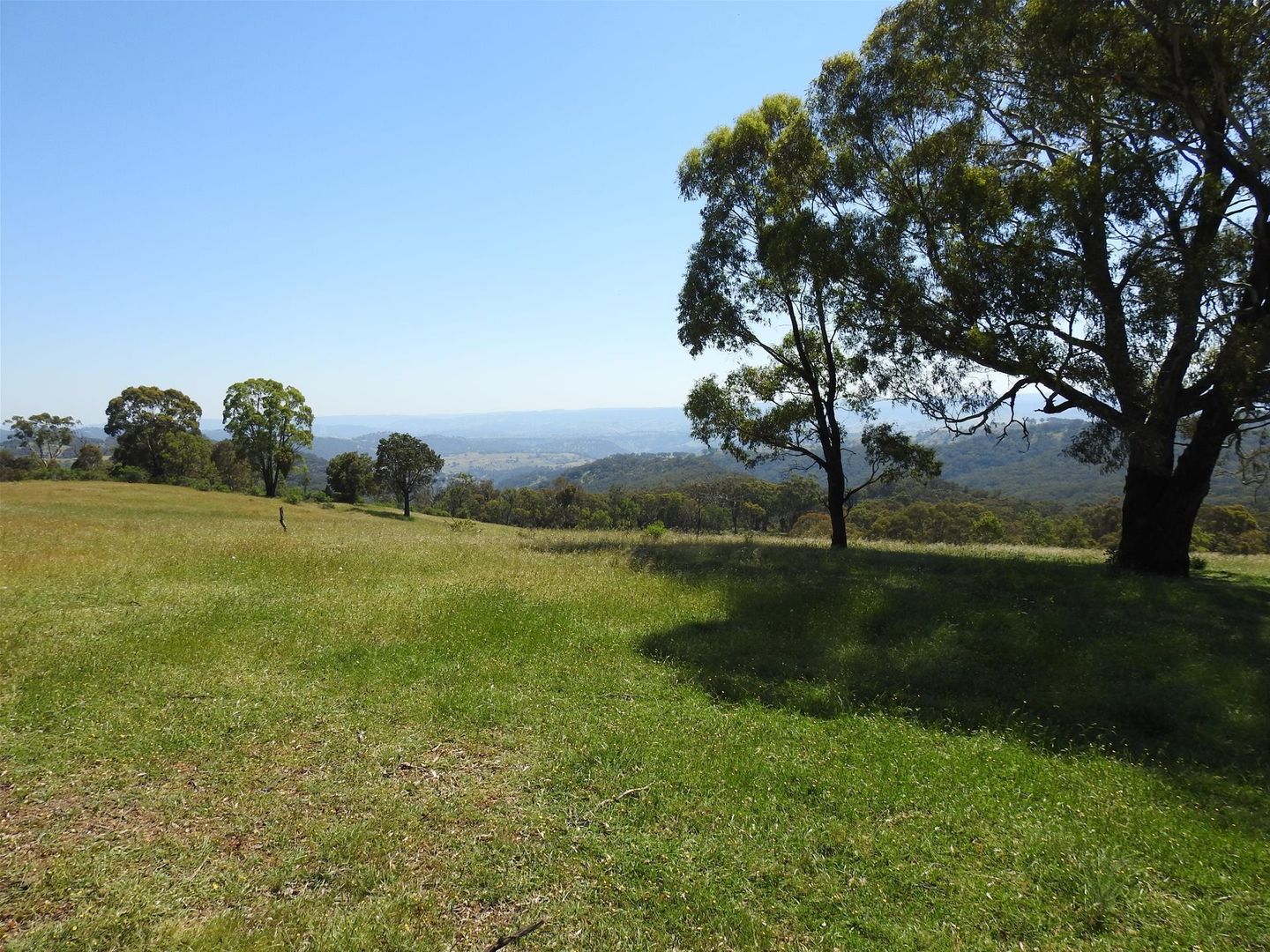 1115 Bundalah Road, Euchareena NSW 2866, Image 2