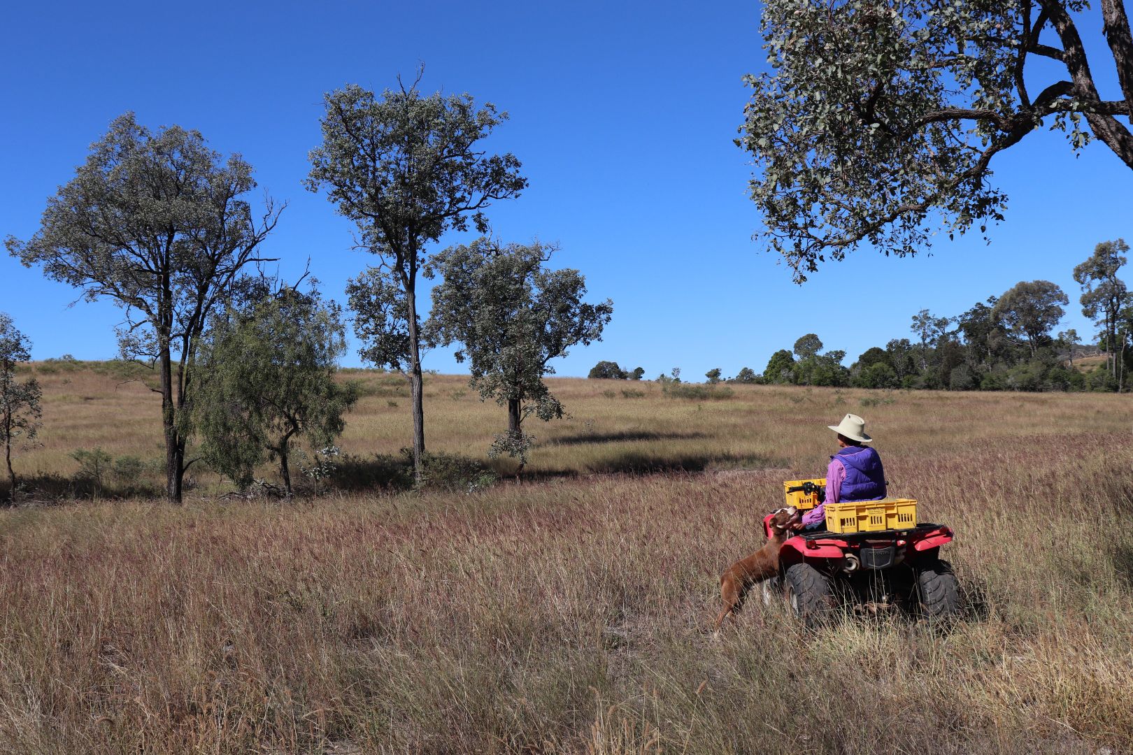 Crosscut Acres 64 Cattle Creek Road, Mundubbera QLD 4626, Image 2