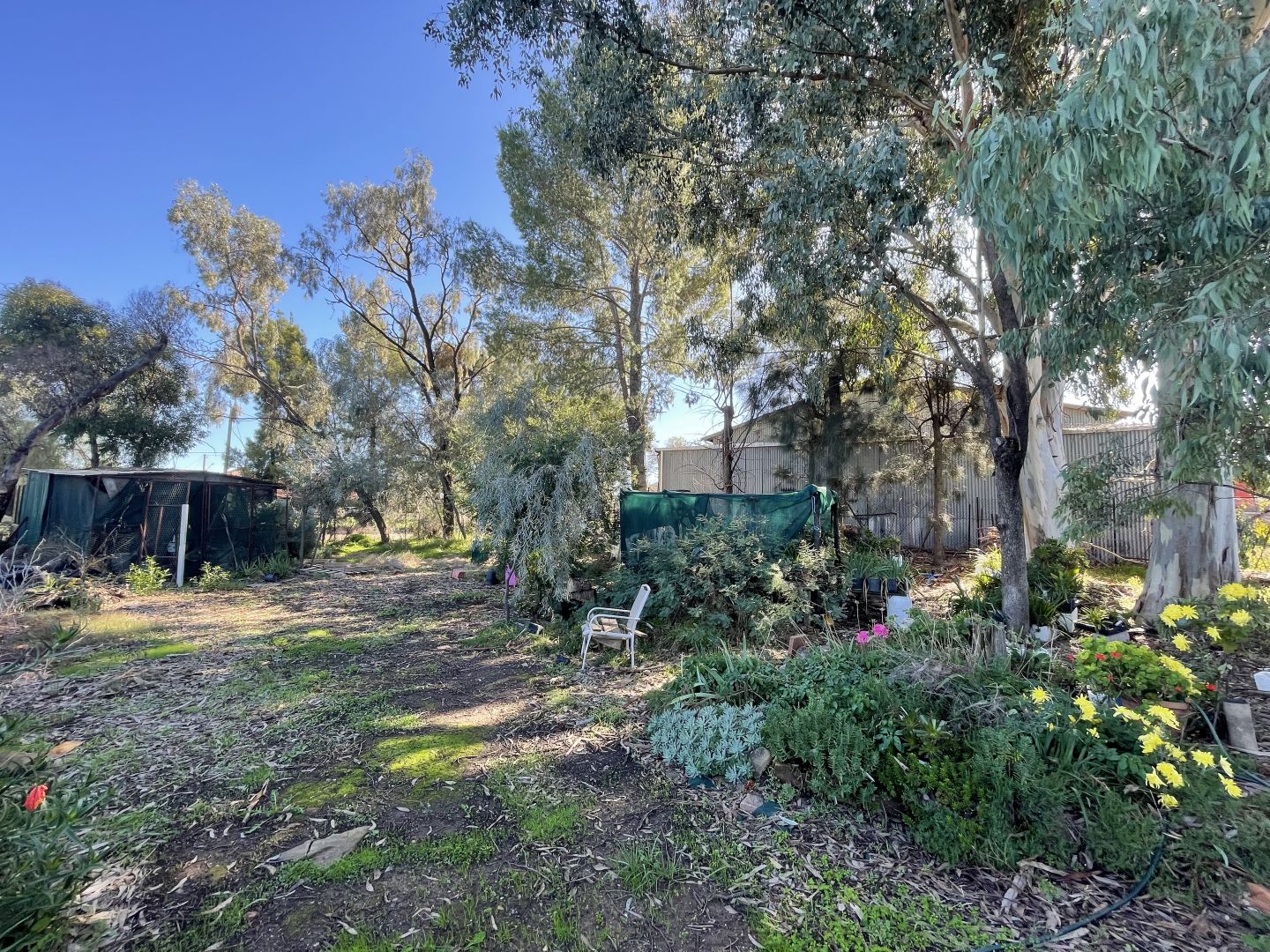 35A Prince Street, Forbes NSW 2871, Image 1