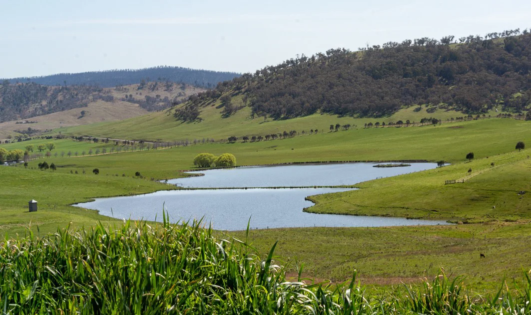 Additional image 5 of Omeo VIC 3898