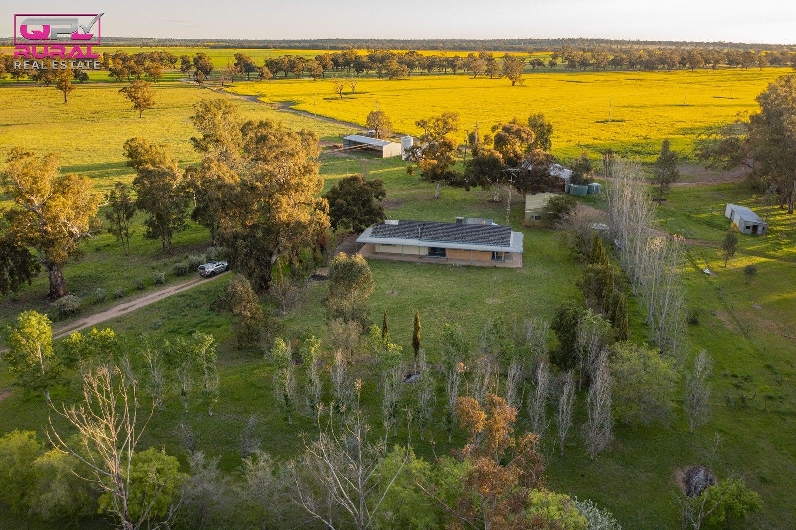 9401 Sturt Highway, Narrandera NSW 2700, Image 0