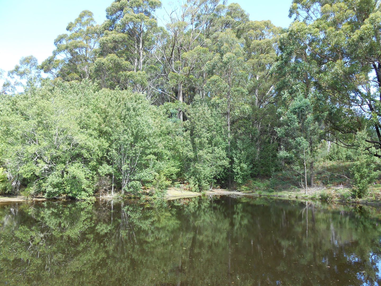 90 Gulf Road, Liffey TAS 7301, Image 1