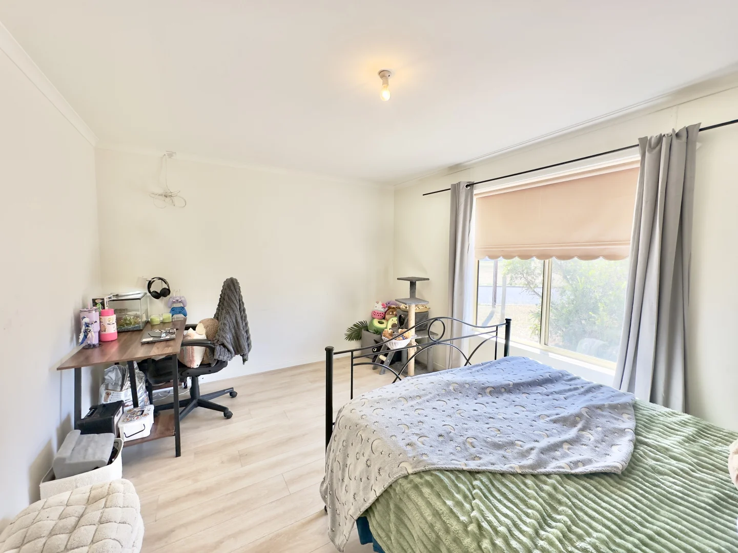 Additional image 14 of 1 Elizabeth Street, Bordertown SA 5268