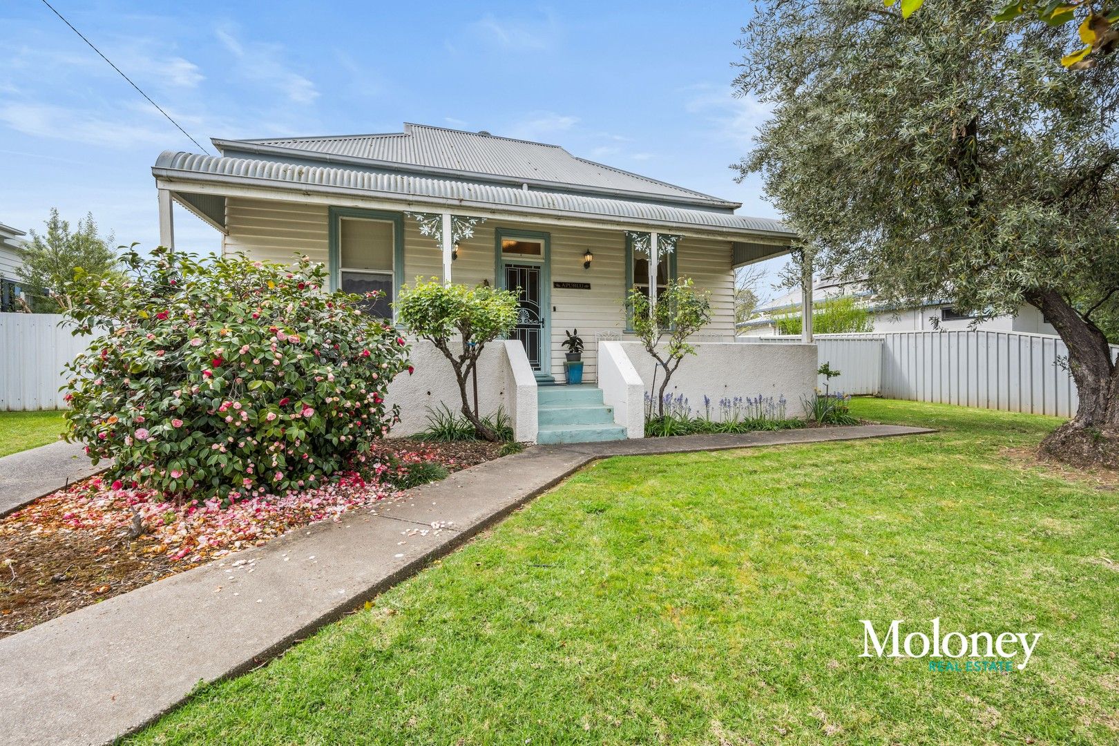 18 Birdwood Street, Corowa NSW 2646, Image 0