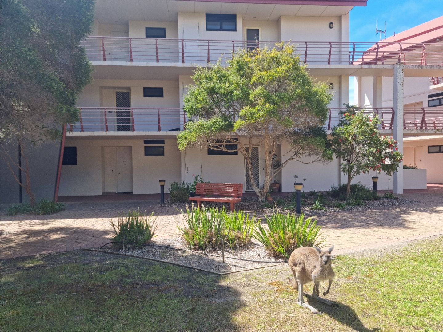 10 62 SEAVIEW AVENUE, Wirrina Cove SA 5204, Image 1