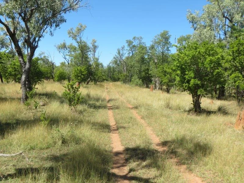 Image 11
