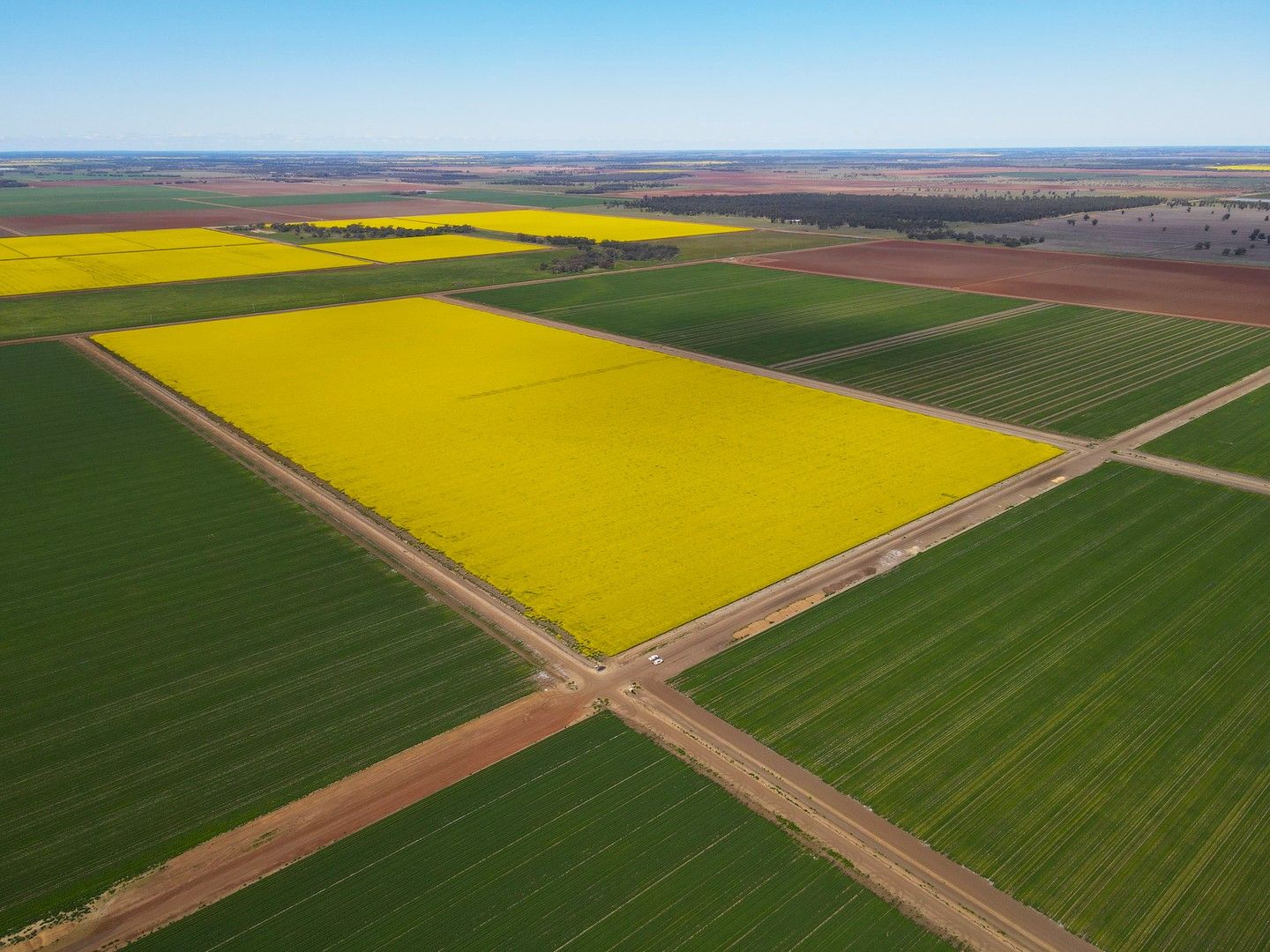 705 Jim Cattanach Road, Darlington Point NSW 2706 Specialist Farm for