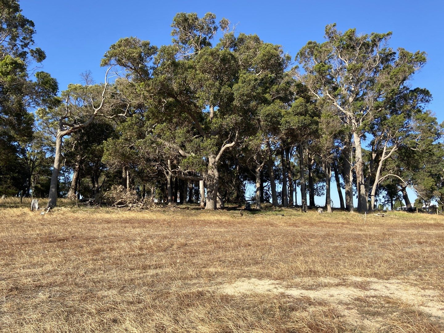 Lot 43/55 Brookside Boulevard, Cowaramup WA 6284, Image 0