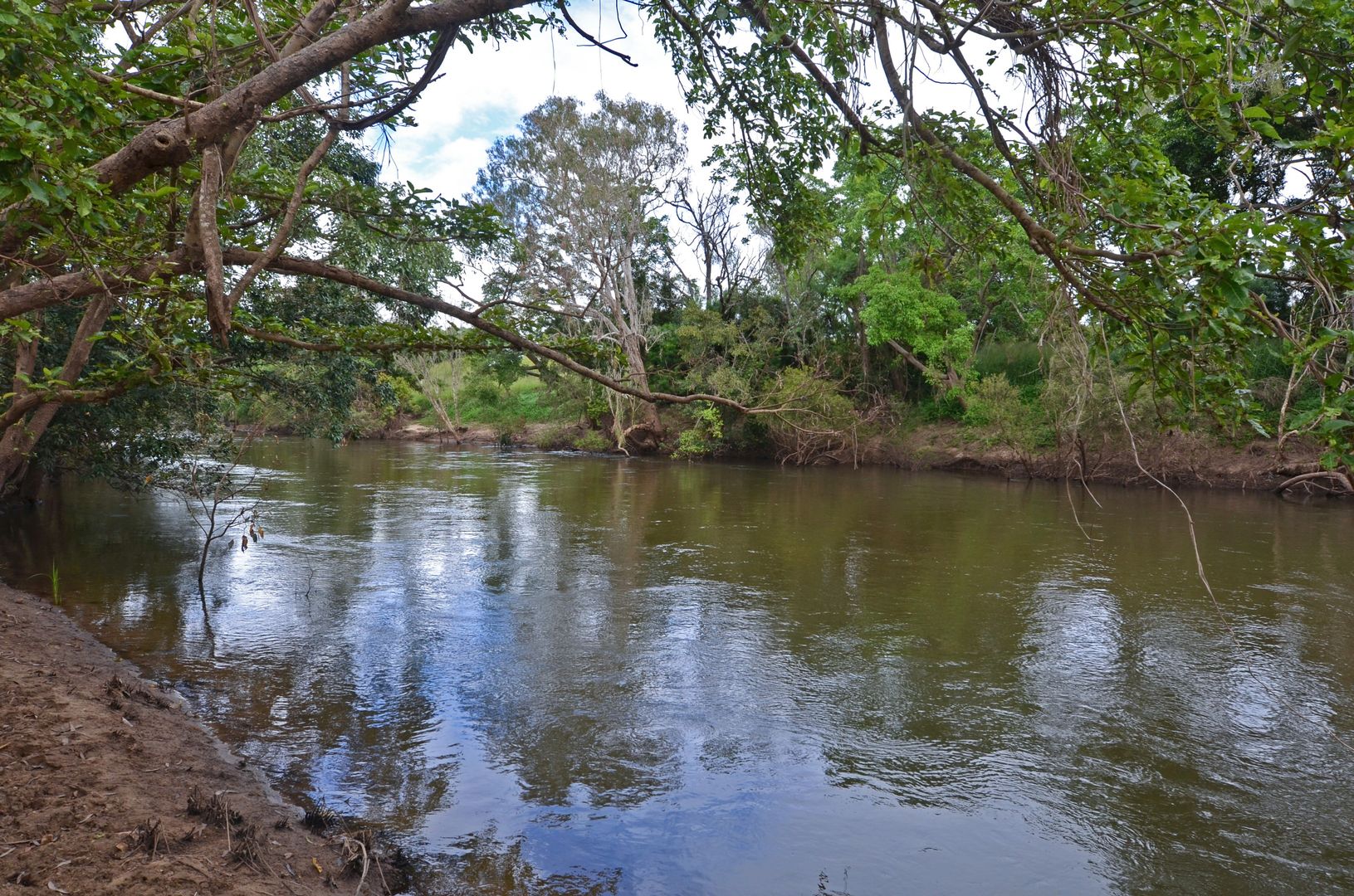 315 Emerald End Road, Mareeba QLD 4880, Image 2