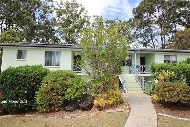 Picture of 151 Tree Tops Blvd, MURWILLUMBAH NSW 2484