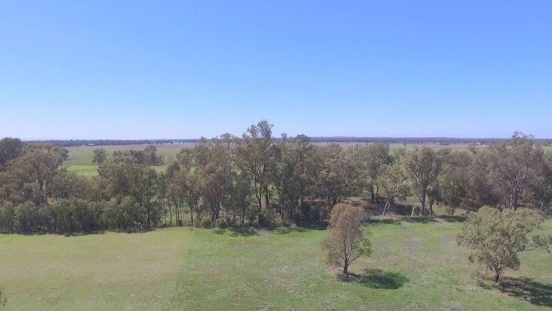 223 Riverside Drive, Narrabri NSW 2390, Image 2