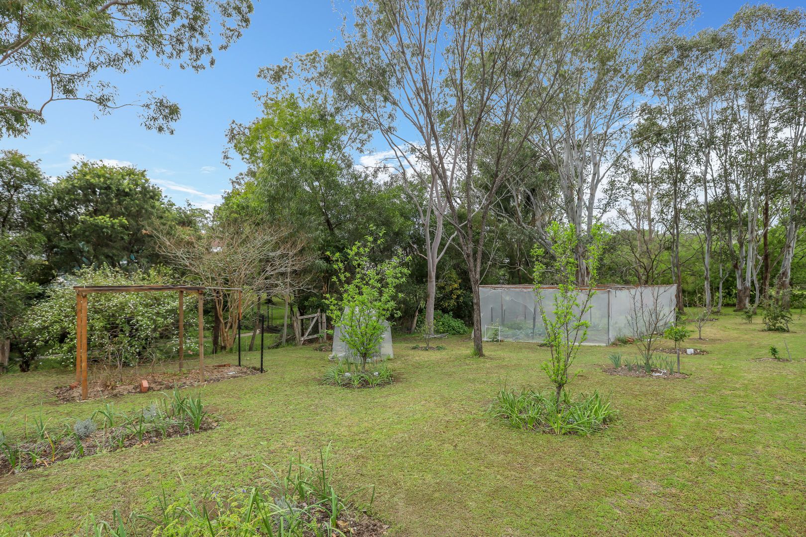 111 Eloiza Street, Dungog NSW 2420, Image 2