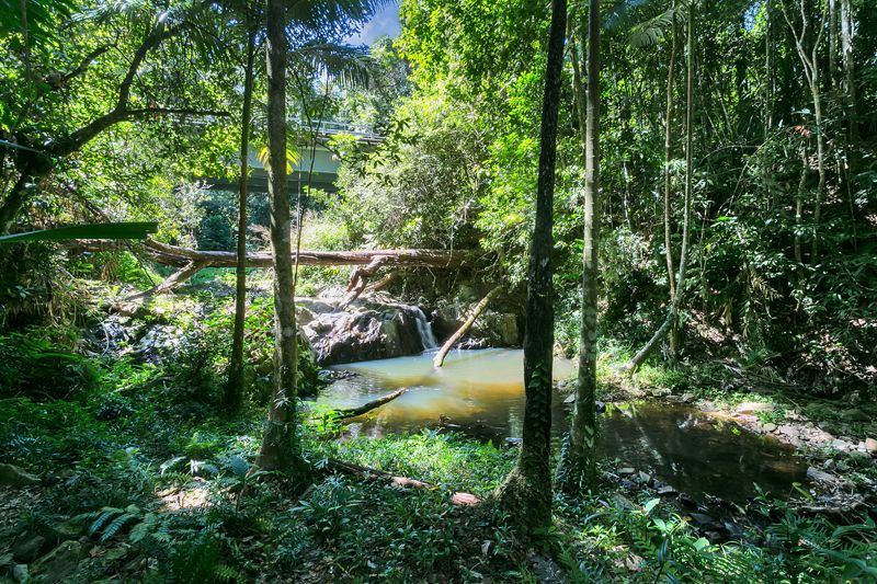 13-17 Black Mountain Road, Kuranda QLD 4881, Image 1