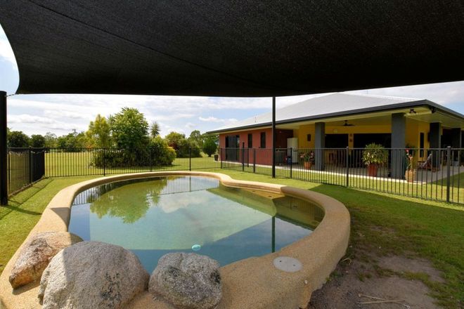 Picture of 667 Old Tully Road, FELUGA QLD 4854