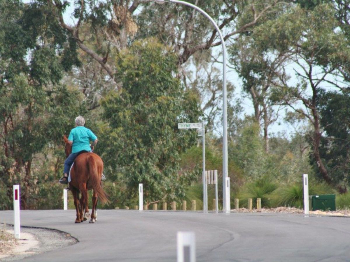 Lot 170 Elderberry Link, Two Rocks WA 6037, Image 1