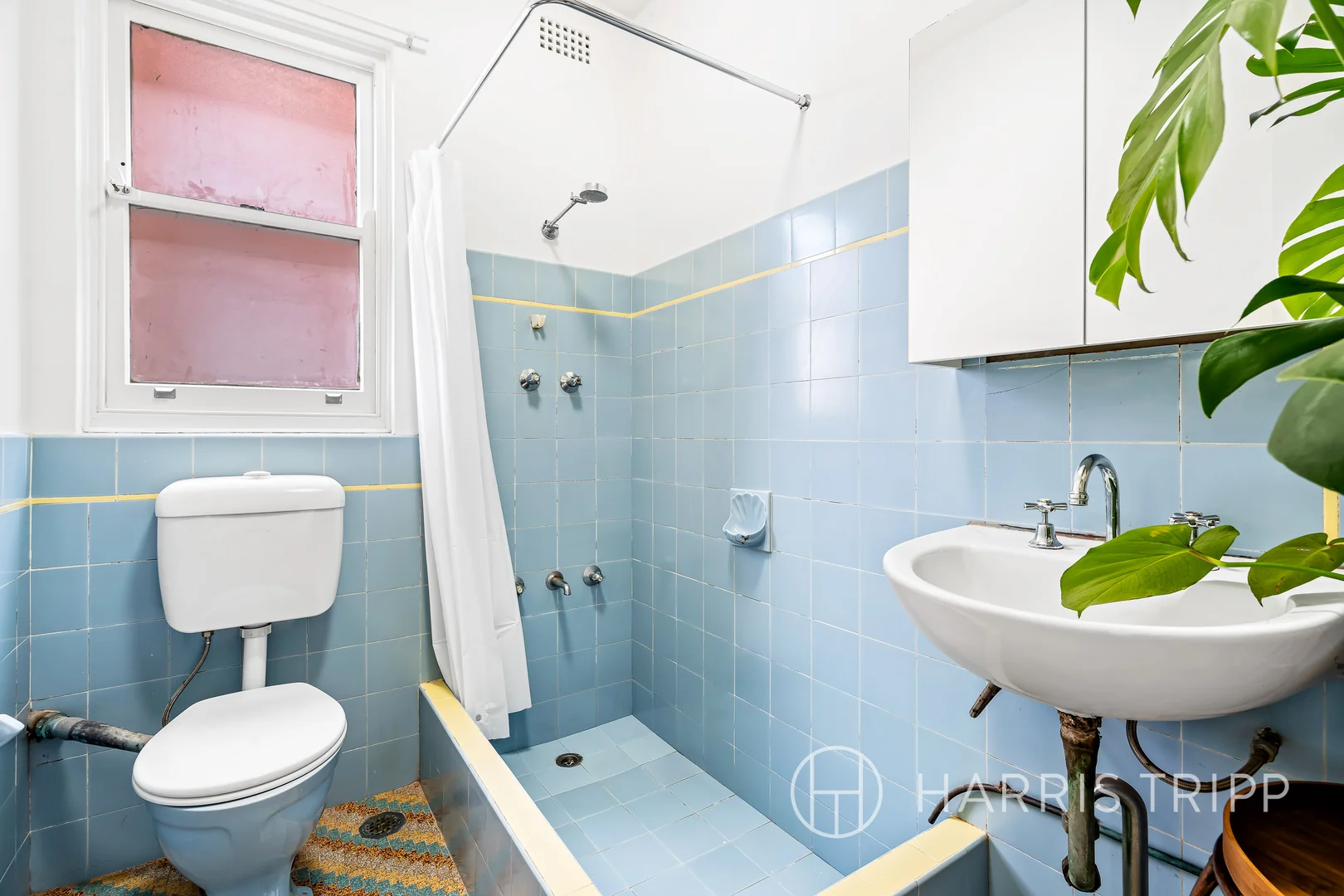 Additional image 4 of 1/3 Grainger Avenue, Ashfield NSW 2131