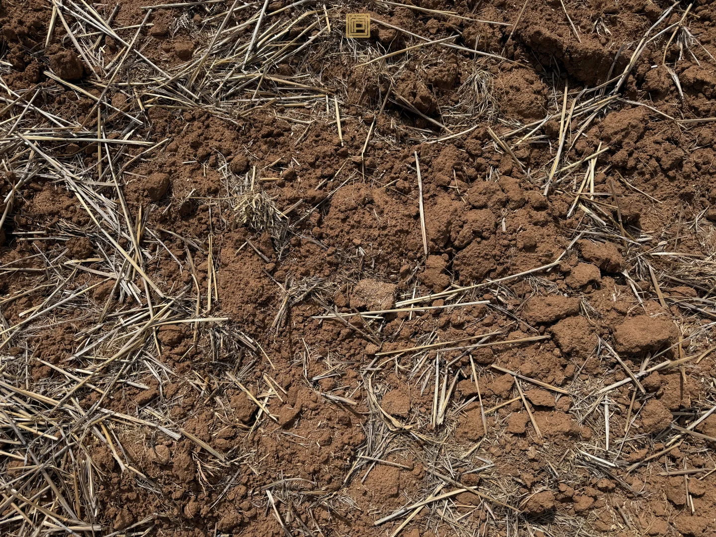 Additional image 4 of PART CARNDU/1098 Merimborough Lane, Pilliga NSW 2388