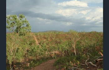 Picture of 6882 Stuart Highway, ROBIN FALLS NT 0822