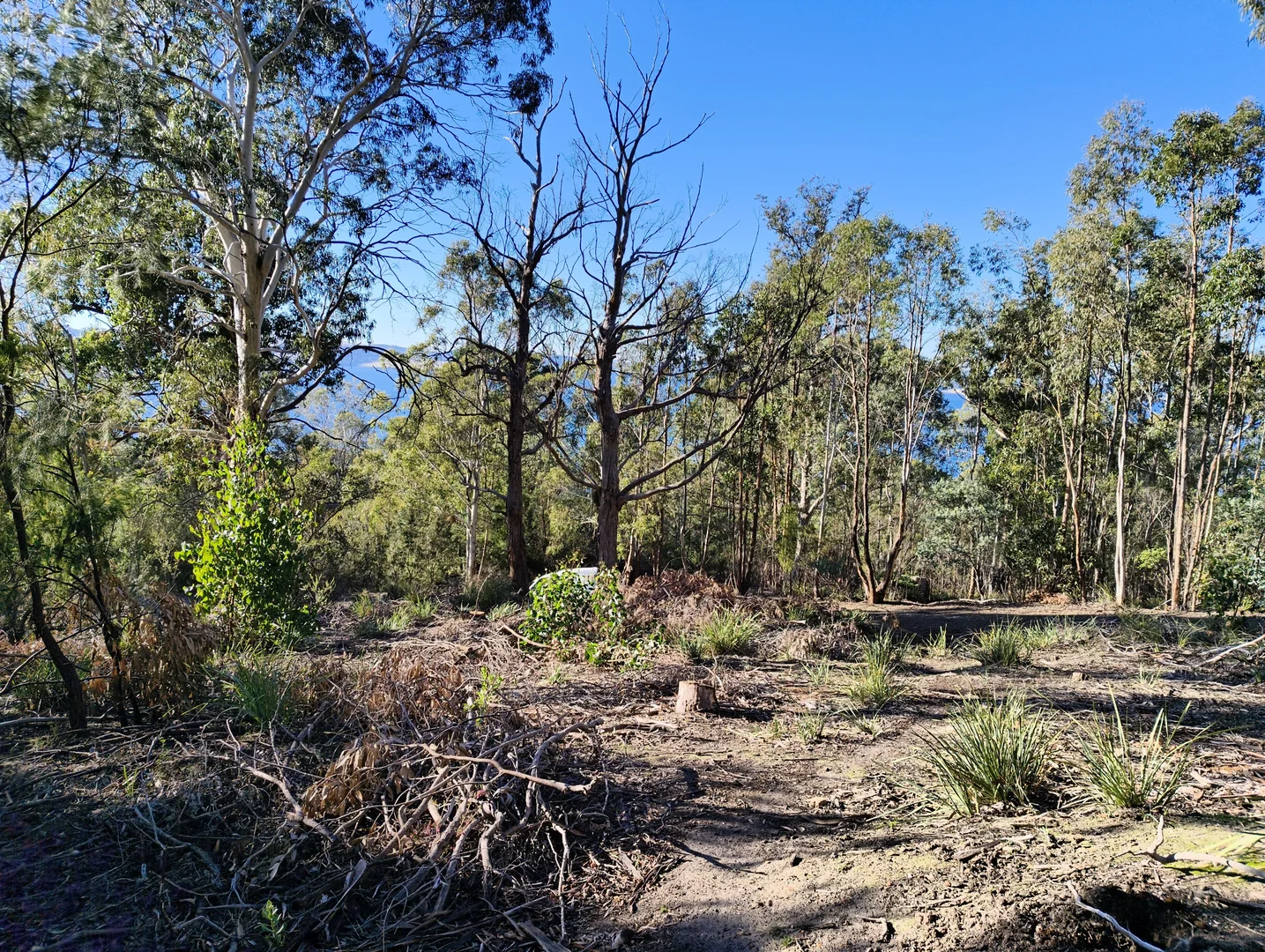 Image 10