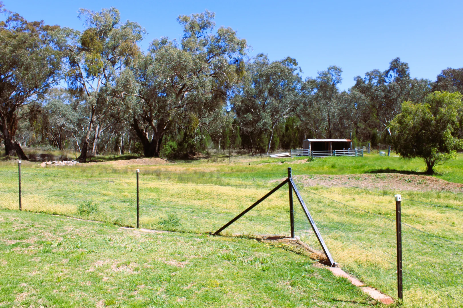 Image 20