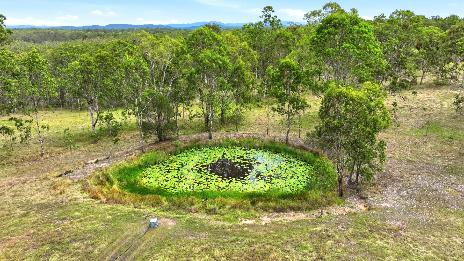 Additional image 26 of 1205 Rogan Bridge Road, Mylneford NSW 2460