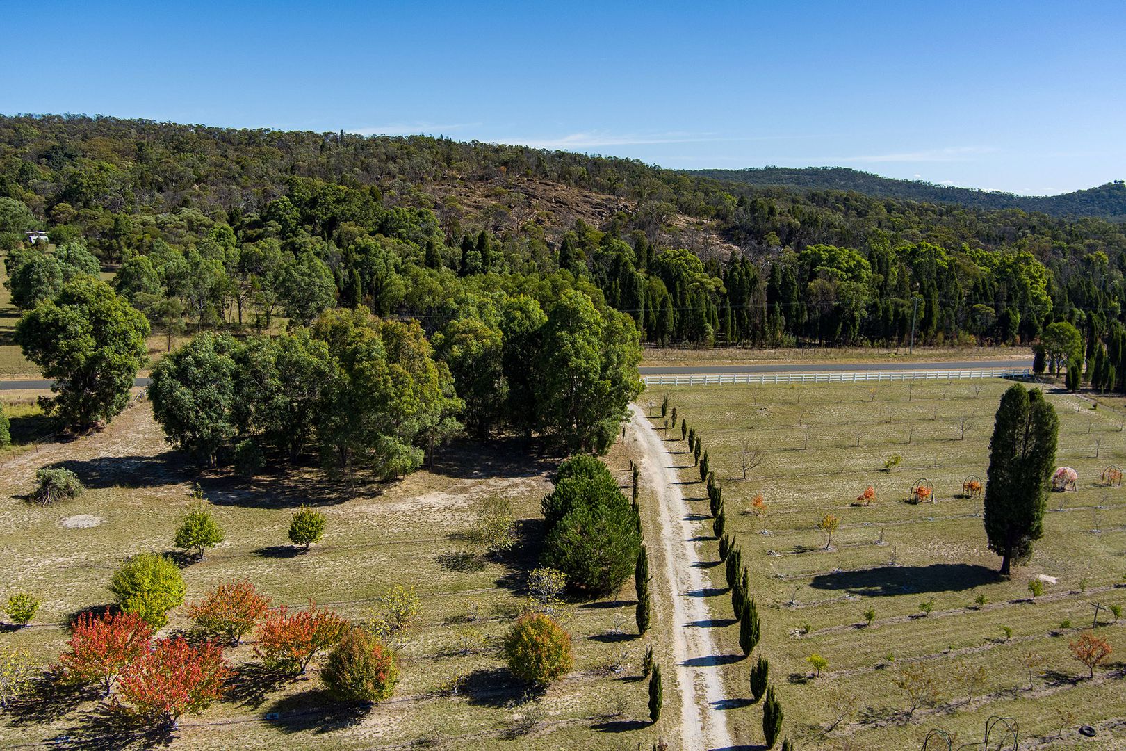 362 Ridge Road, Cooks Gap NSW 2850, Image 2