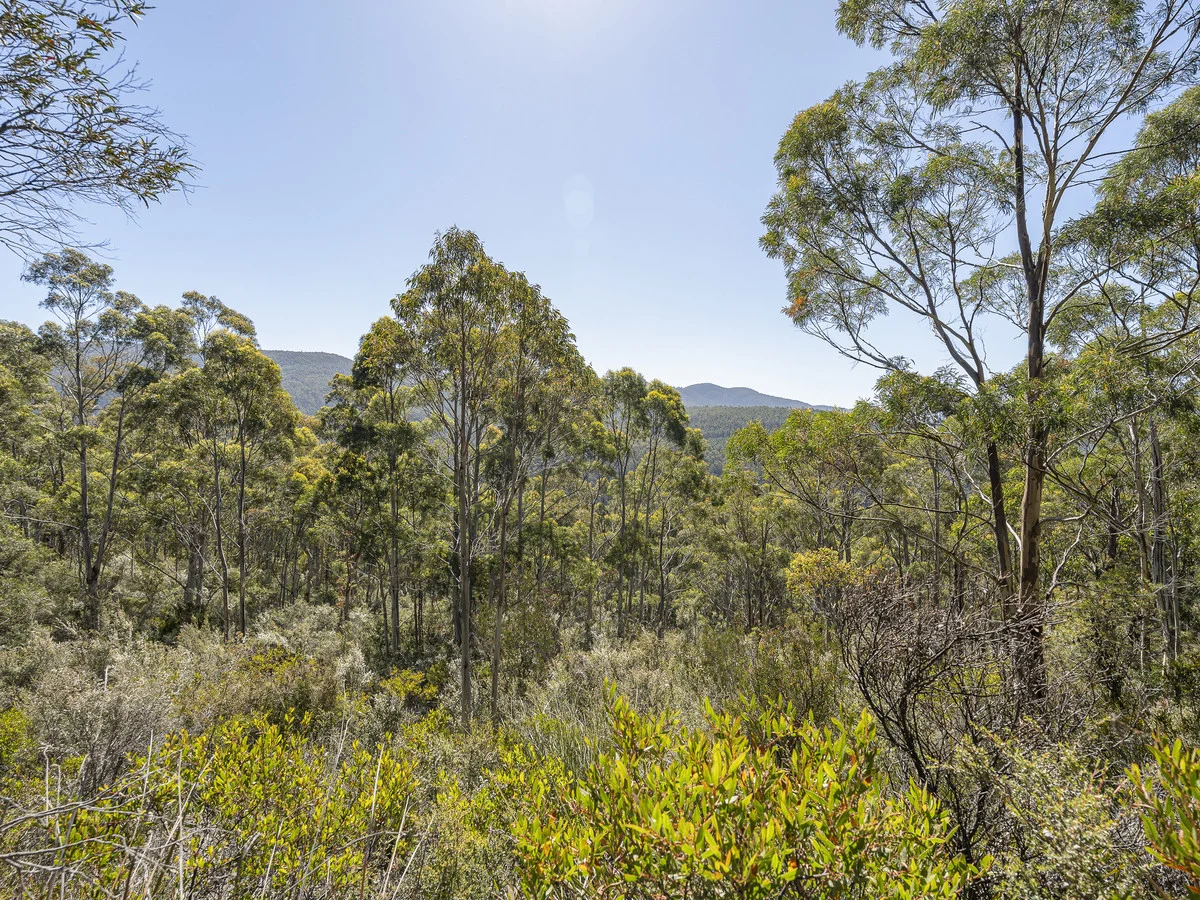Additional image 5 of 3 Snug Falls Road, Snug TAS 7054