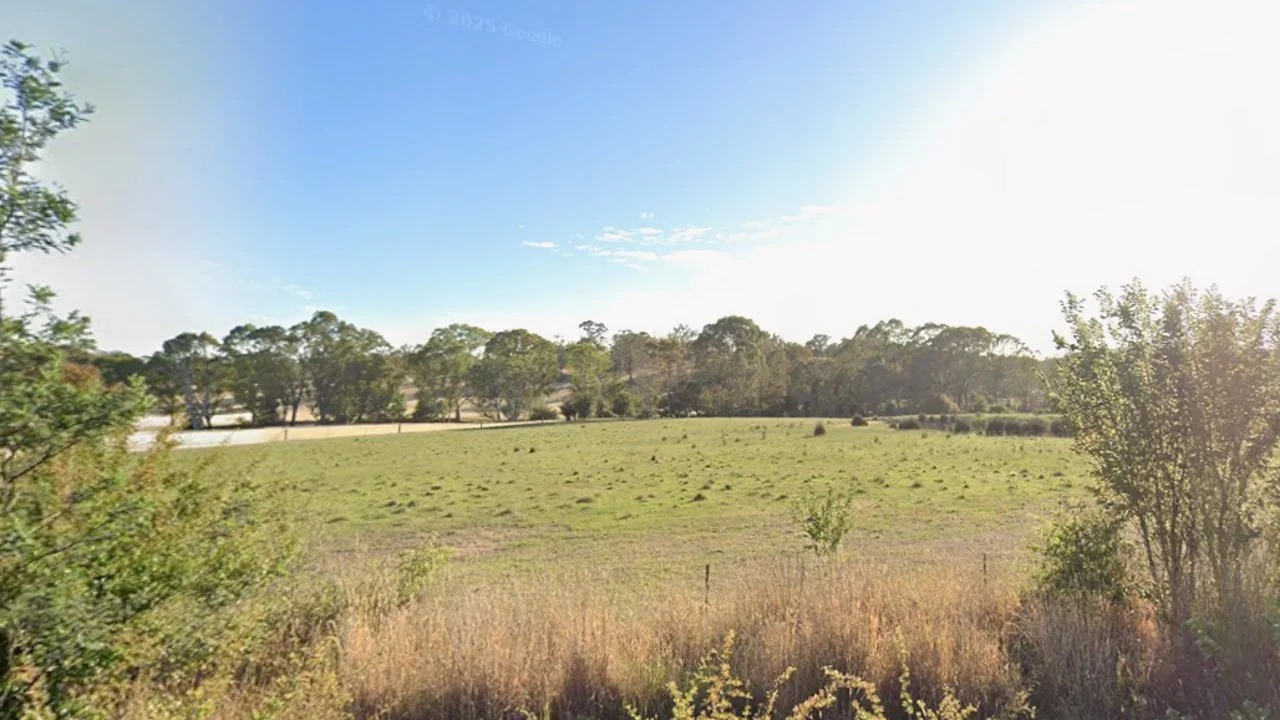 Image 12