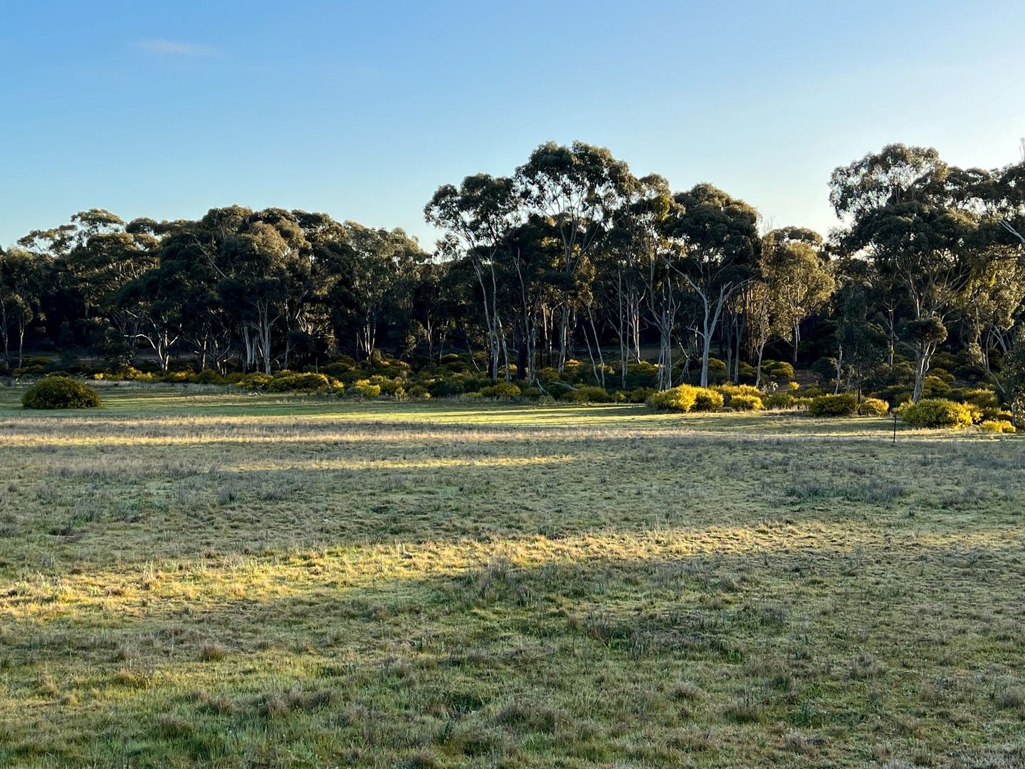 8/407 Logan-Wedderburn Road, Wedderburn VIC 3518, Image 1