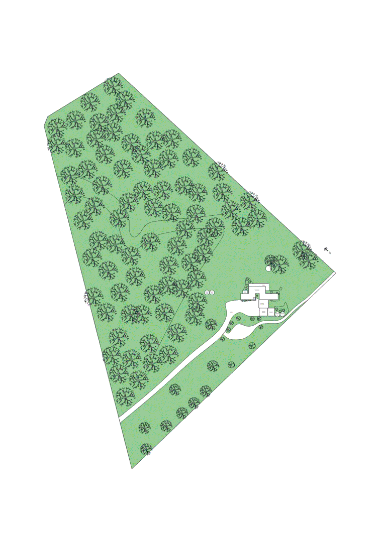 Image 28