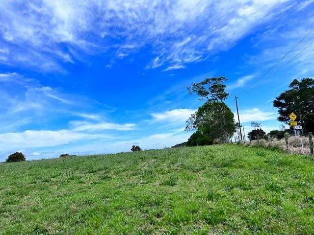 Lot 24 Palm, Maleny QLD 4552, Image 1