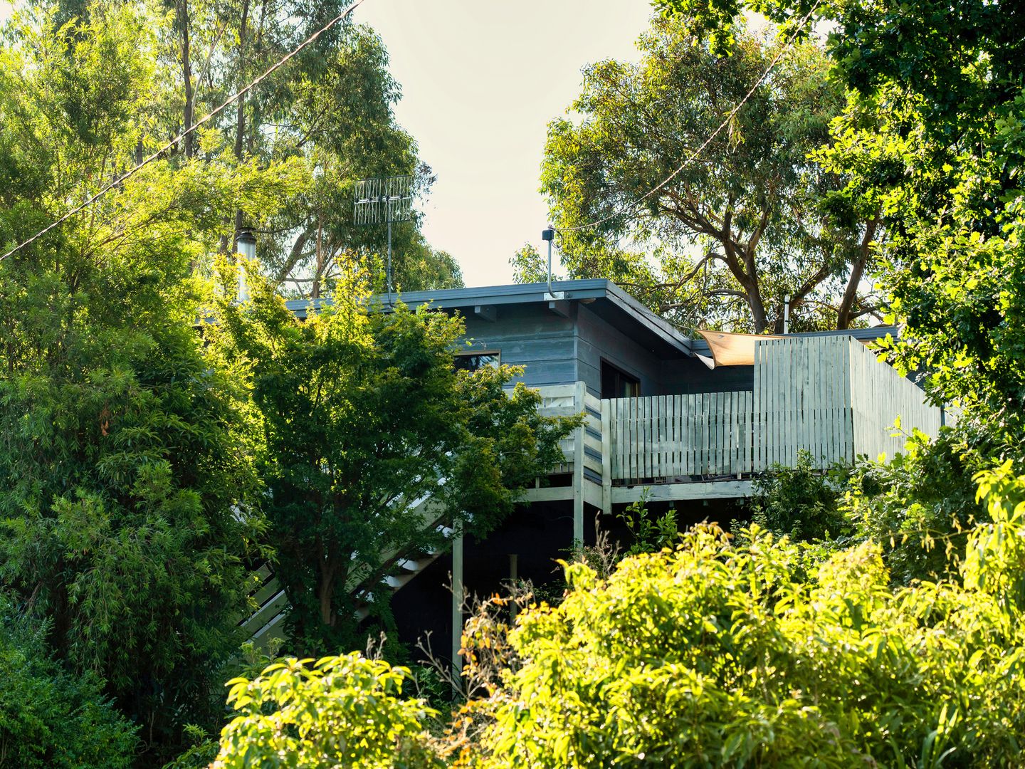 7 Lyle Court Goughs Bay VIC 3723 Domain