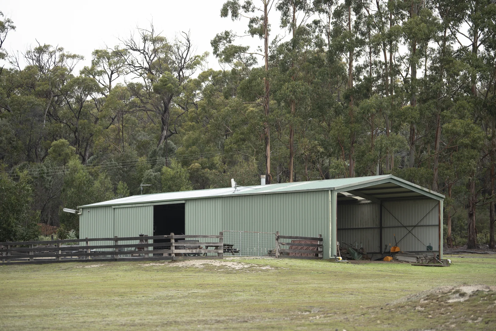 Image 14