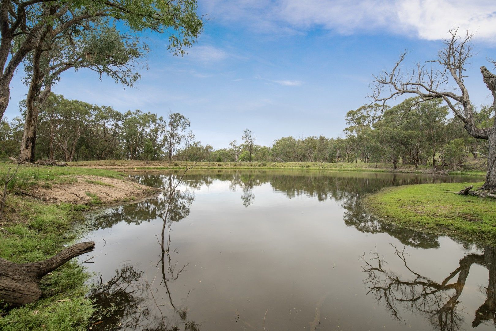 1692 New England Gully Road, Moonbi NSW 2353 Specialist Farm for Sale