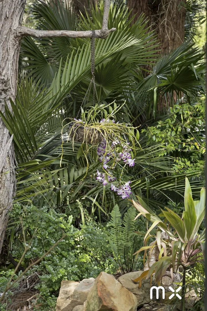 Additional image 29 of 9 Pit Road, Wombarra NSW 2515