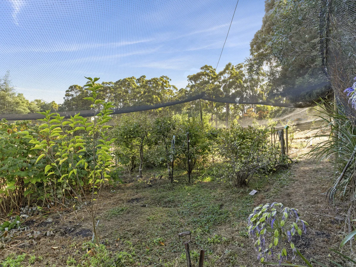 Additional image 13 of 351 Sheffield Road, Acacia Hills TAS 7306