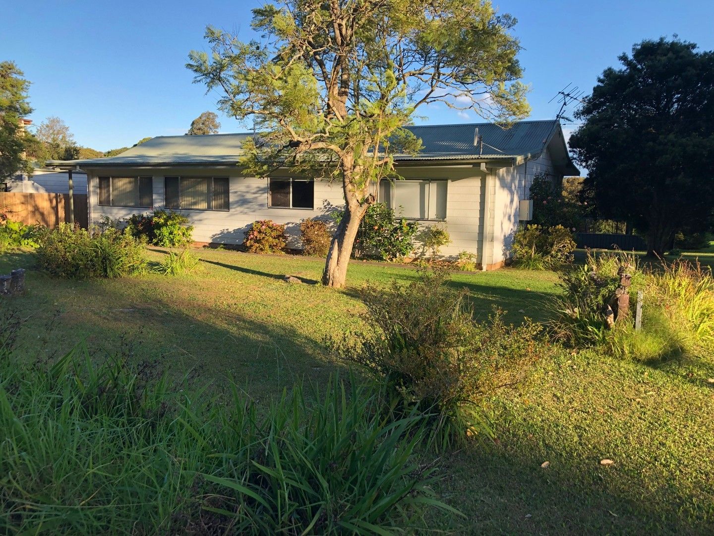 Wallaga Lake NSW 2546 4 beds house for Rent, 550 16473185 Domain